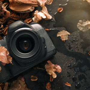 Digital Photography + DSLR Photography