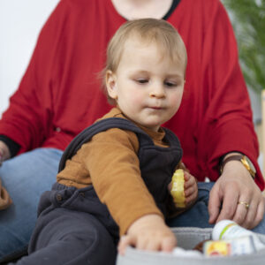 Designated Safeguarding Lead - DSL Course