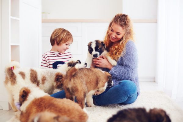 Animal Care Course