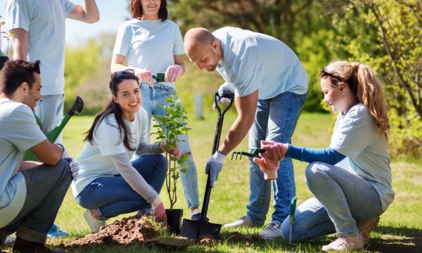 Diploma in Social Work Studies - Level 3