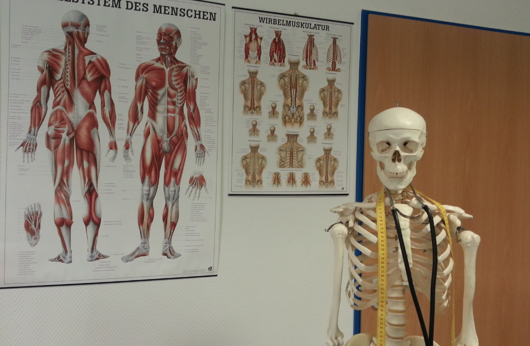 Diploma in Anatomy and Physiology of Human Body