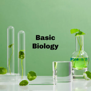 Basic Biology