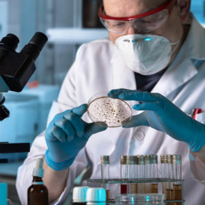 Diploma Microbiology