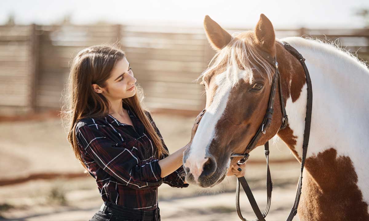 Equine Psychology