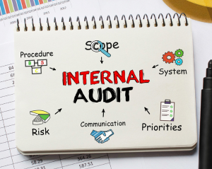 The Role of an Internal Audit & Financial Investigator