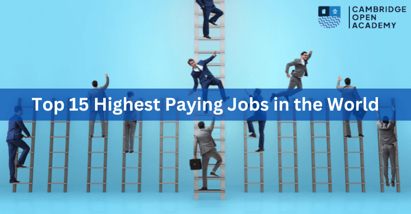 Top 15 Highest Paying Jobs in the World