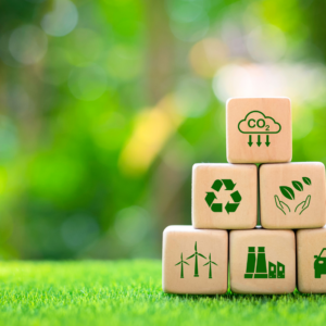 Green Business Management